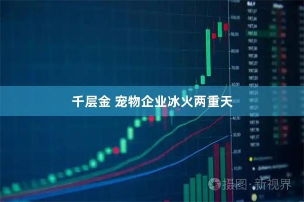 千层金 宠物企业冰火两重天
