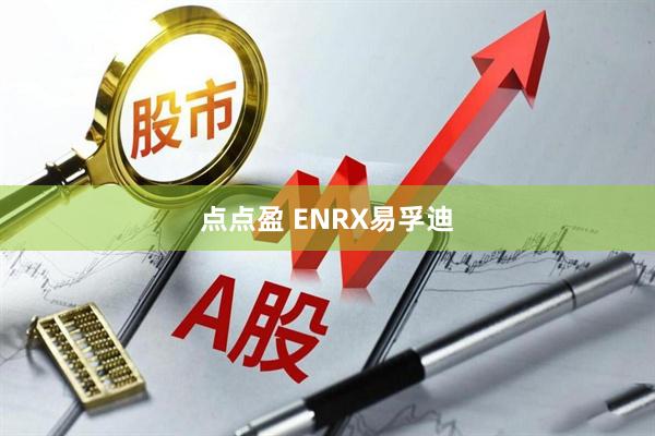 点点盈 ENRX易孚迪