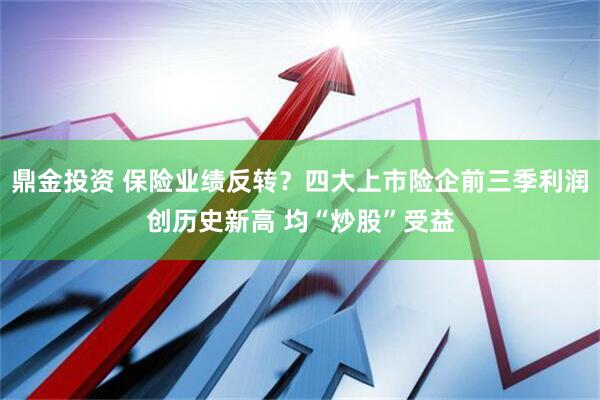 鼎金投资 保险业绩反转？四大上市险企前三季利润创历史新高 均“炒股”受益