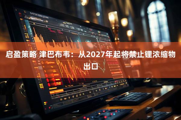 启盈策略 津巴布韦：从2027年起将禁止锂浓缩物出口