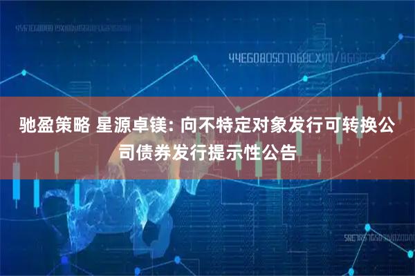 驰盈策略 星源卓镁: 向不特定对象发行可转换公司债券发行提示性公告