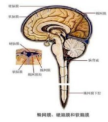 在哪里看爆款问答的答案