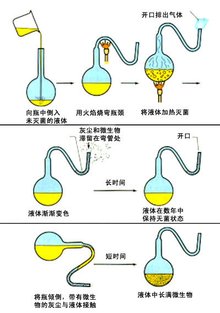 澳版乐高大师第四季百科