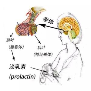 沈阳站到科技馆怎么走