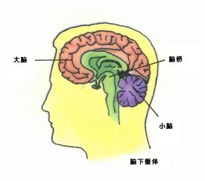 如皋有吉林大学吗考研(妈妈理财怎么样)