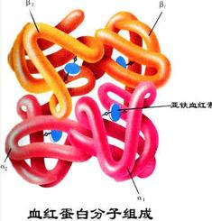 有几个基金怎么算收益的