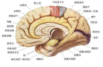 理财产品怎么判断真假啊