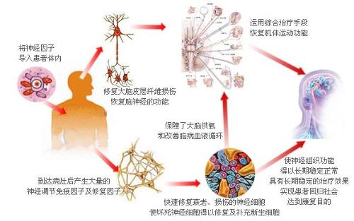 农村水电保险怎么买(农村牲口保险怎么交)