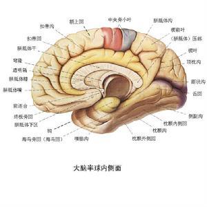 怎么选场内货币基金